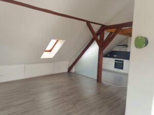 Infrarot Heizung Dachgeschosswohnung Felixdorf Loft